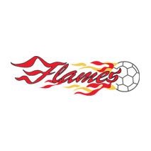 Logo flames